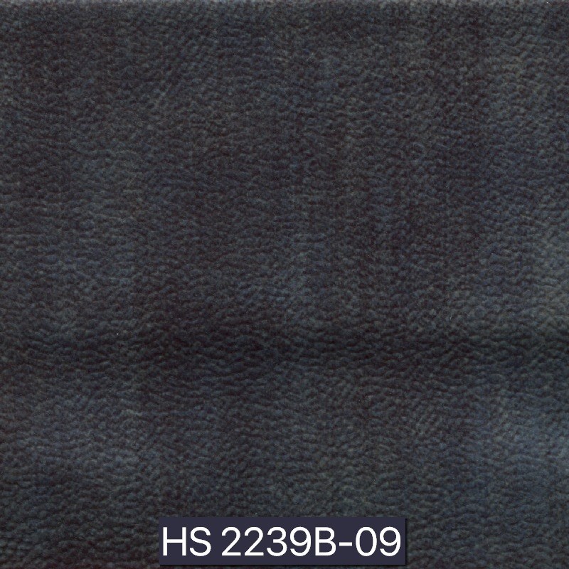2239B-09