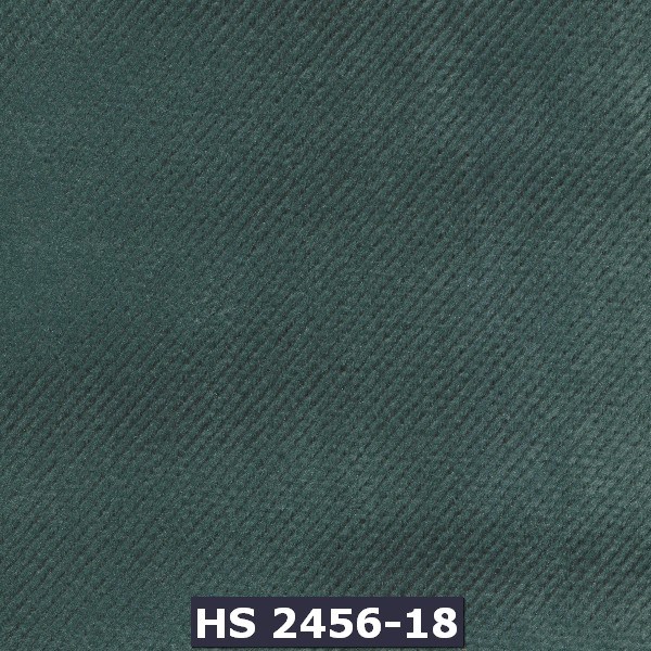 2456-18