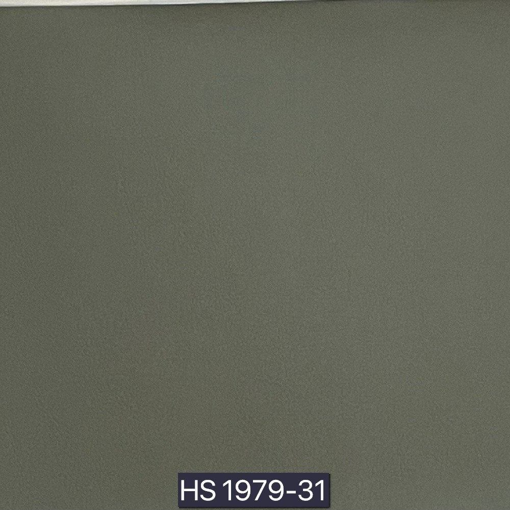 後疫情生活－淨化型皮革II