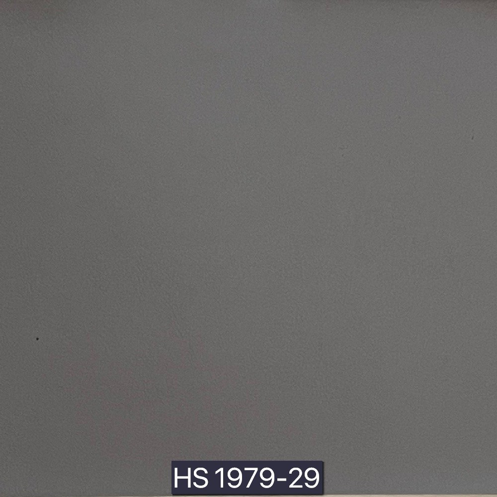 後疫情生活－淨化型皮革II