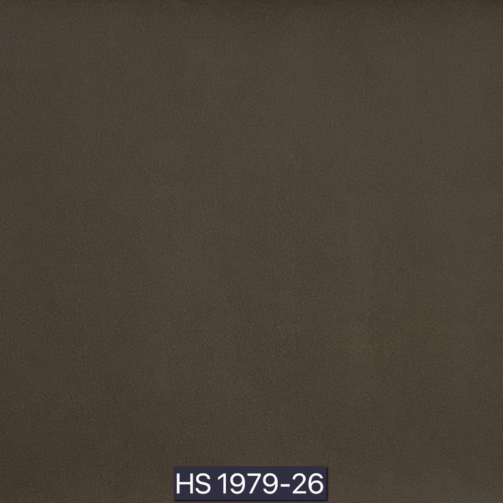 後疫情生活－淨化型皮革II