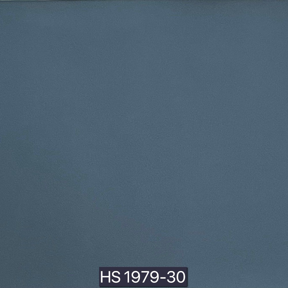 後疫情生活－淨化型皮革II