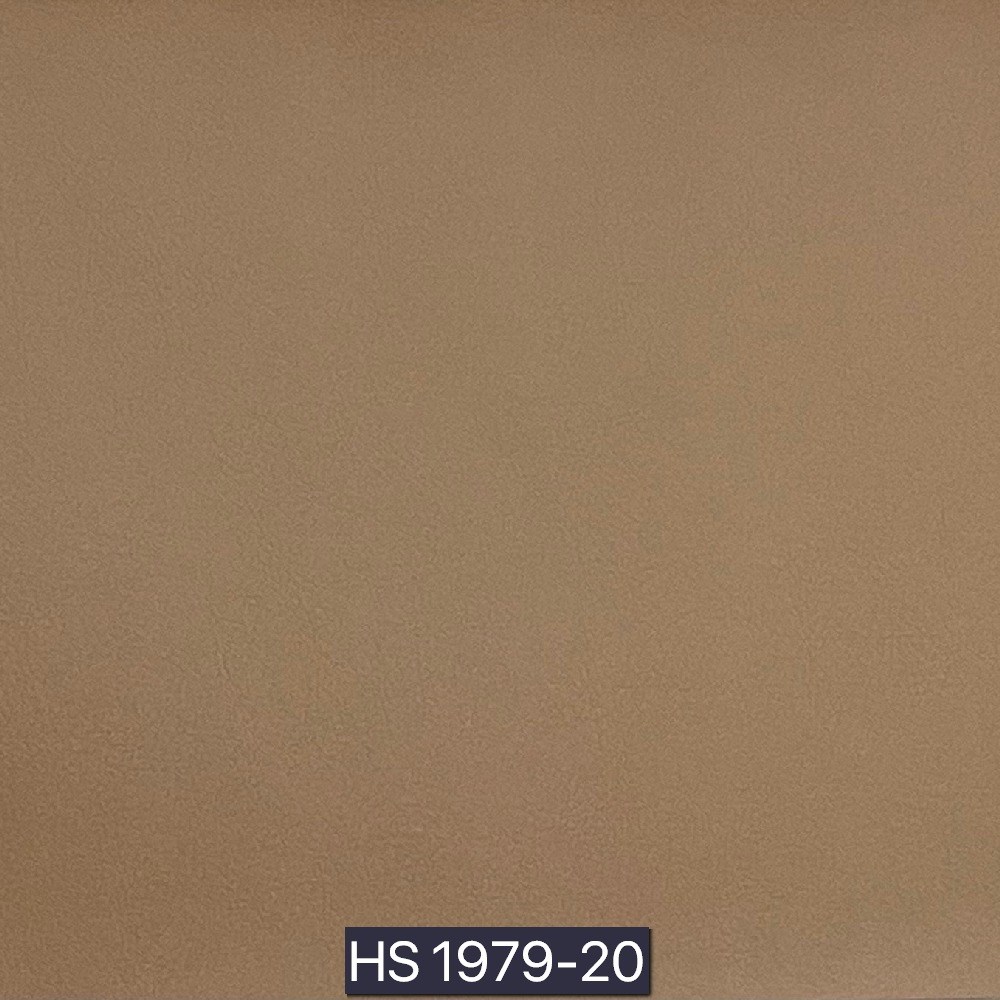 後疫情生活－淨化型皮革II