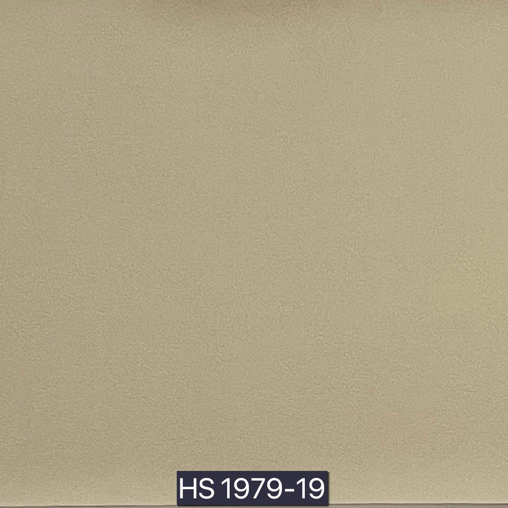 後疫情生活－淨化型皮革II