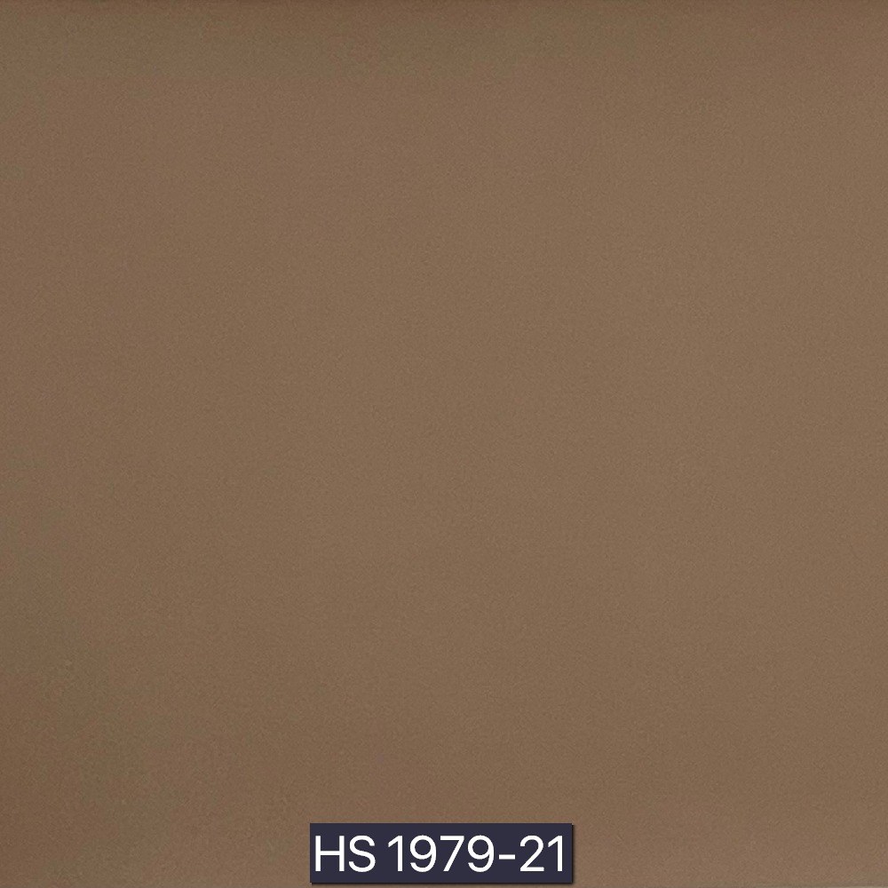 後疫情生活－淨化型皮革II