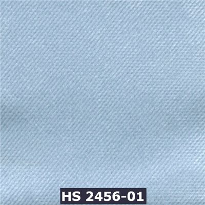 2456-01